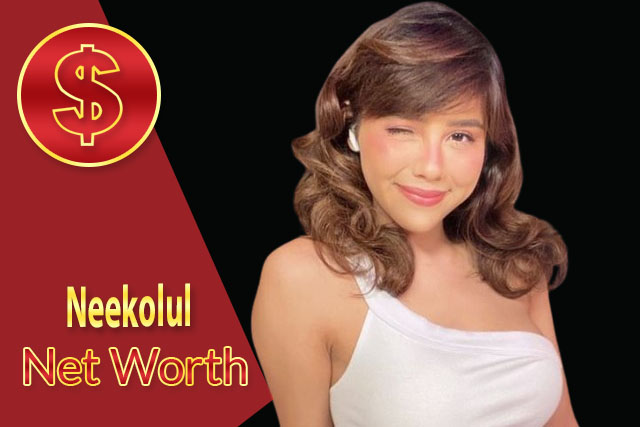 Neekolul Net Worth